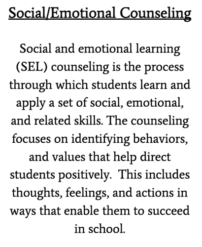 Social and emotional learning (SEL) counseling is the process through which students learn and apply a set of social, emotional, and related skills. The counseling focuses on identifying behaviors, and values that help direct students positively.  This includes thoughts, feelings, and actions in ways that enable them to succeed in school.